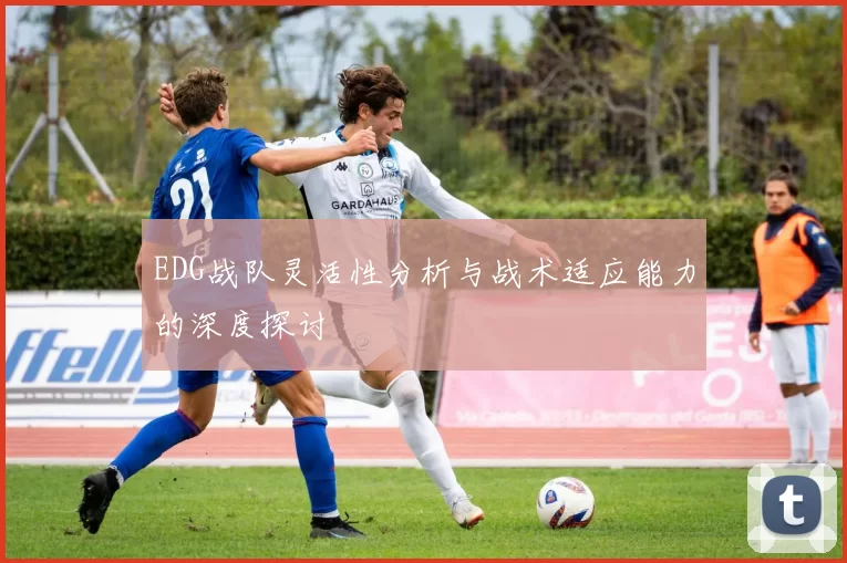 EDG战队灵活性分析与战术适应能力的深度探讨