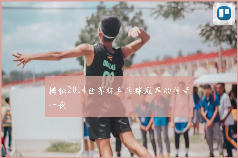 揭秘2014世界杯乒乓球冠军的传奇一夜