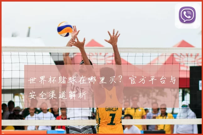 世界杯赌球在哪里买?官方平台与安全渠道解析
