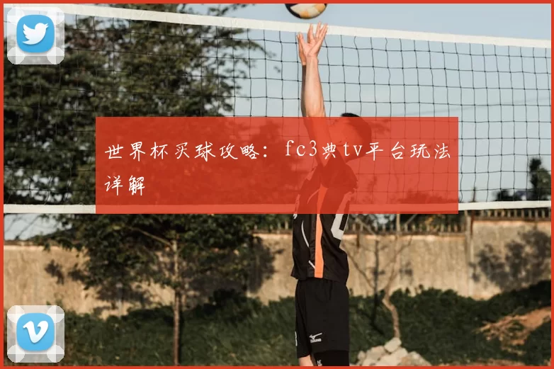 世界杯买球攻略：fc3典tv平台玩法详解
