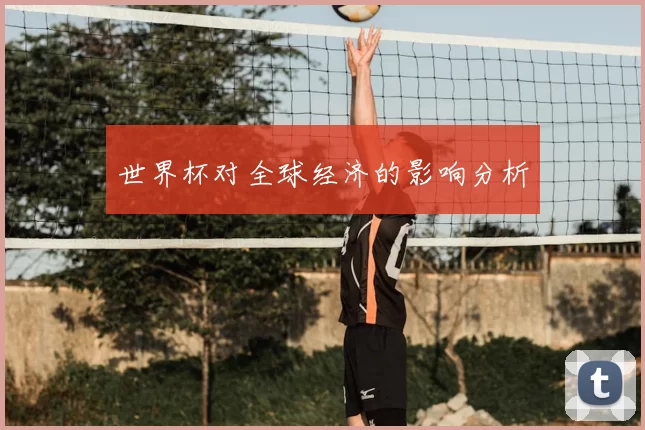 世界杯对全球经济的影响分析