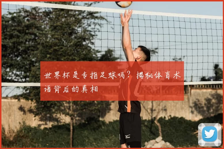 世界杯是专指足球吗？揭秘体育术语背后的真相