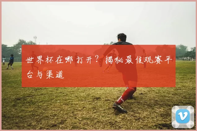 世界杯在哪打开?揭秘最佳观赛平台与渠道