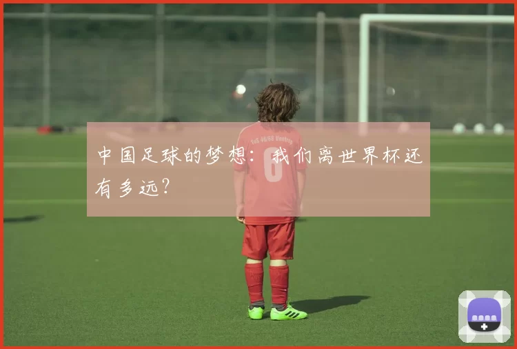 中国足球的梦想:我们离世界杯还有多远?
