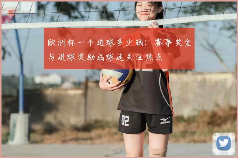 欧洲杯一个进球多少钱：赛事奖金与进球奖励成球迷关注焦点