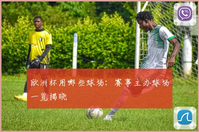 欧洲杯用哪些球场：赛事主办球场一览揭晓