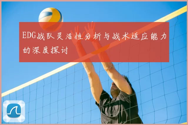 EDG战队灵活性分析与战术适应能力的深度探讨