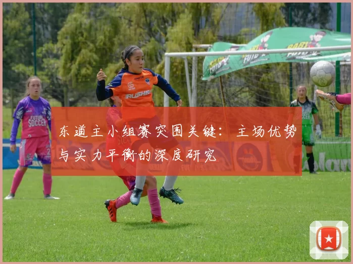 东道主小组赛突围关键：主场优势与实力平衡的深度研究